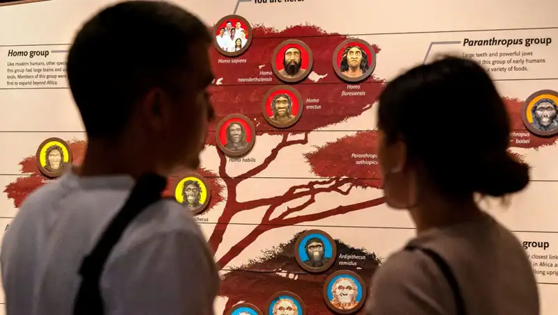 Modern İnsanların 40 Bin Yıl Önce Yok Olmaktan Kurtuluşu: Şok Edici Gerçekler