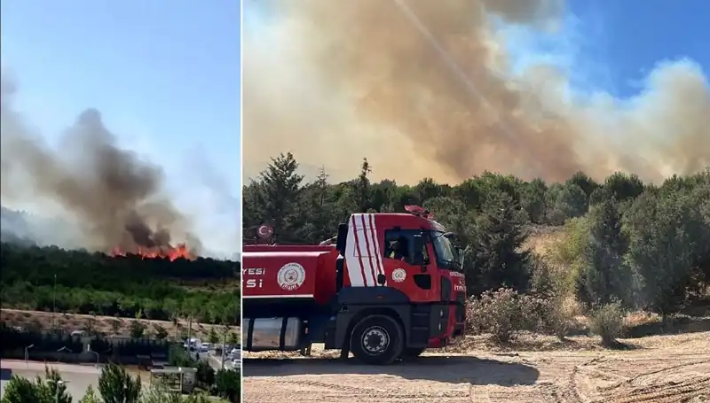 Gebze'de Orman Yangını: Yangın Kontrol Altına Alınırken, Kayıplar ve Önlemler Açıklandı