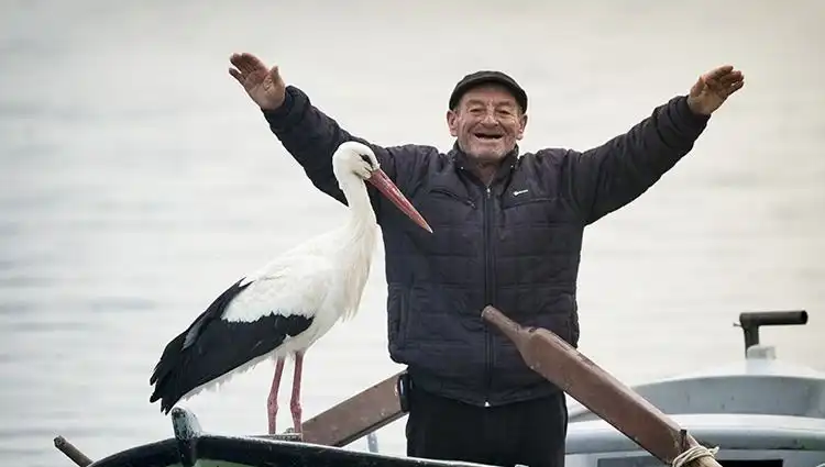 Türkiye'nin İlk Yuvacığı: Yaren Leylek'in Gelişi ve Canlı Yayın Keyfi